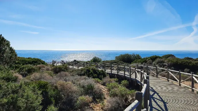 a wooden bridge over a body of water